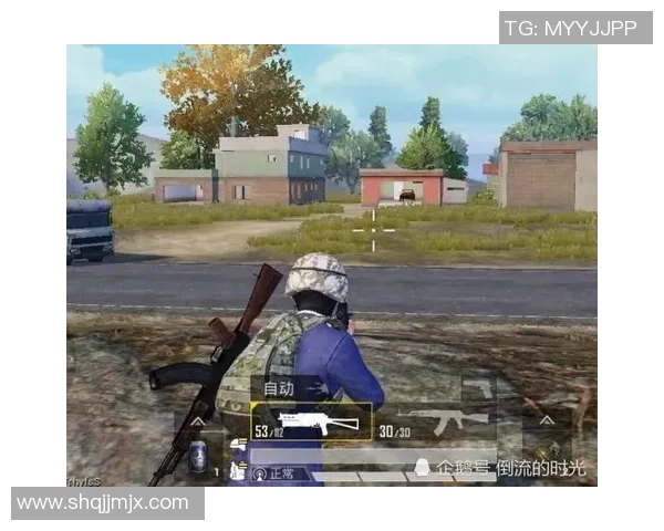 和平精英深度解析LNG战队的战术控制与团队协作技巧